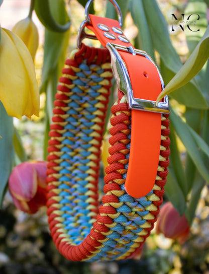 Design your own collar - Snake