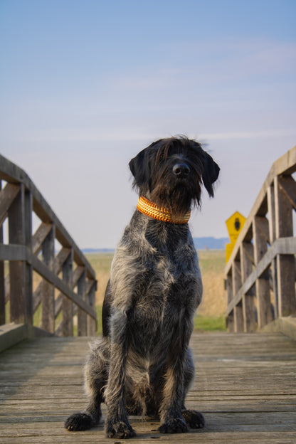 Gestalte dein Halsband - Wave