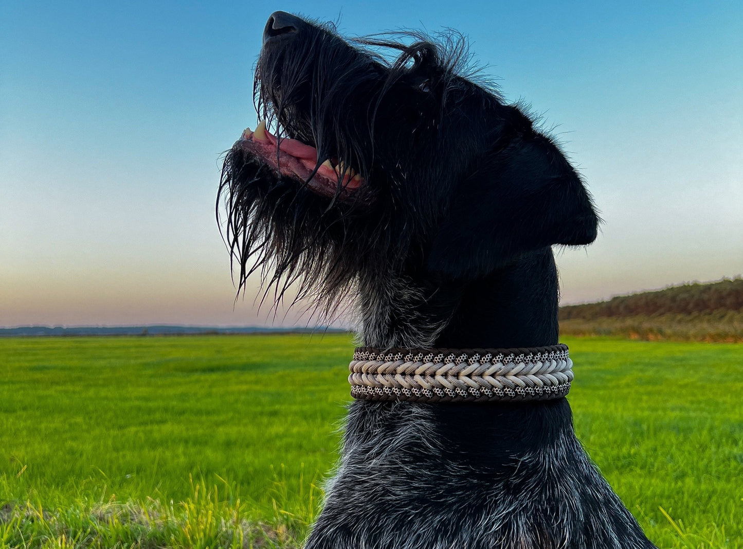 Gestalte dein Halsband - Happy