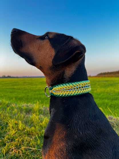 Gestalte dein Halsband - Sun