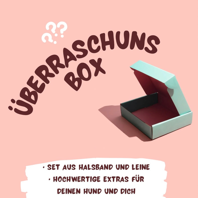 Überraschungsbox XL -         Halsumfang 50cm-69cm