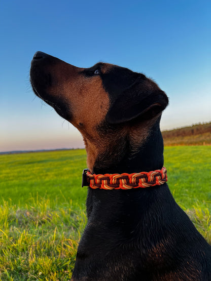 Gestalte dein Halsband - Solo