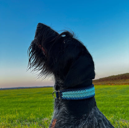 Design your own collar - Snake