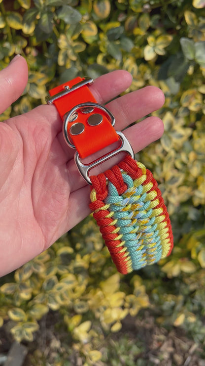 Sofortkauf  - Snake 41cm-45cm